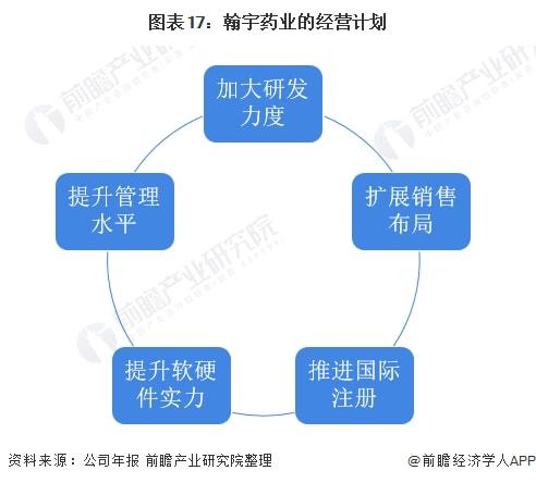 国际市场策略咨询，企业远航的引领之钥