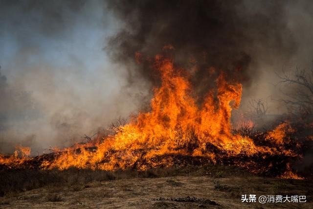 紫金矿业哥伦比亚金矿被盗采