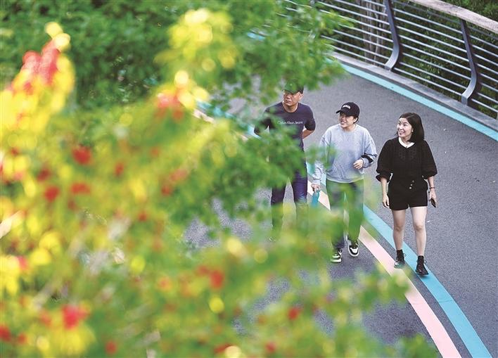 城市绿道建设，提升居民幸福感的实践之路探索