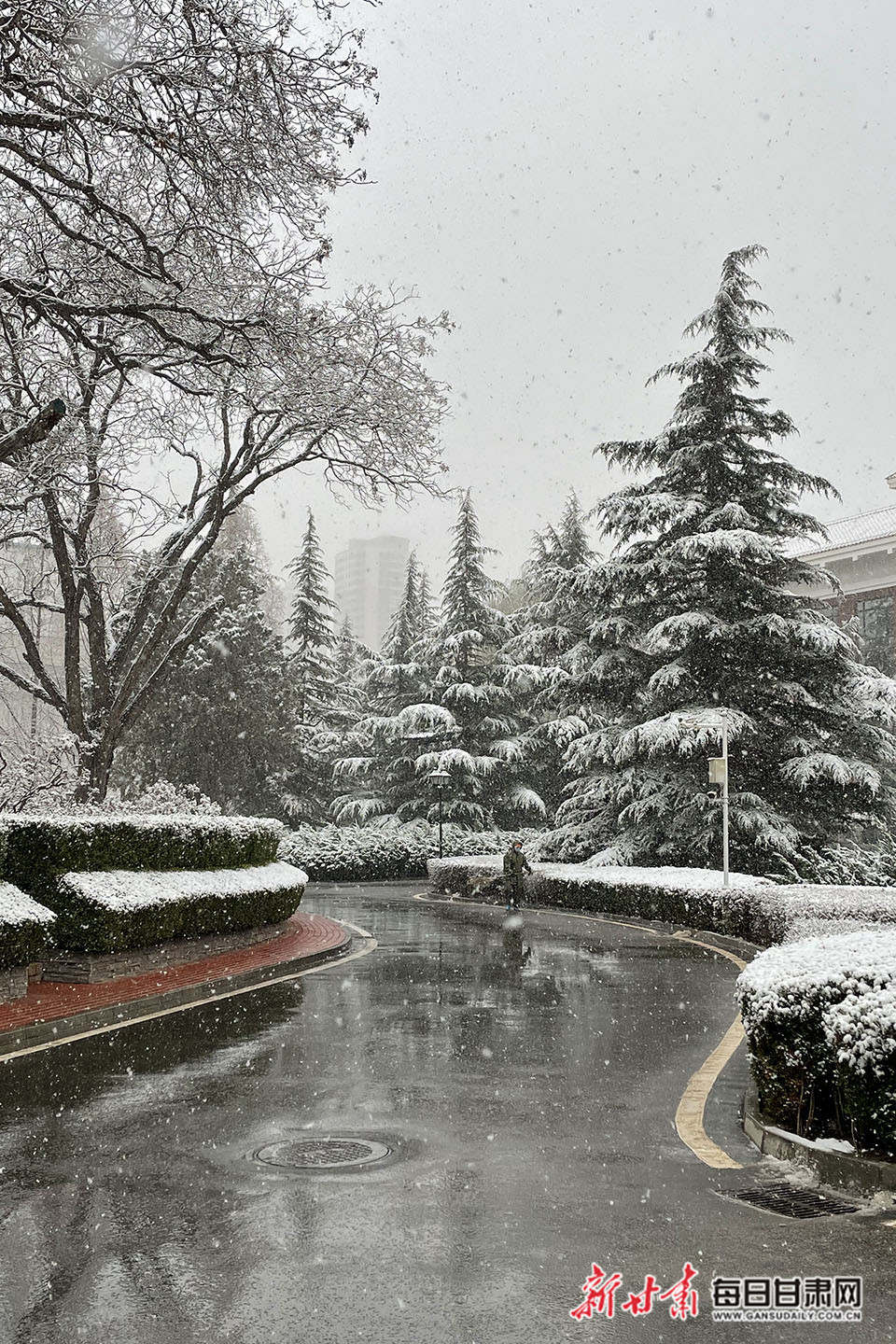 兰州雪舞纷飞，城市独特风情展现