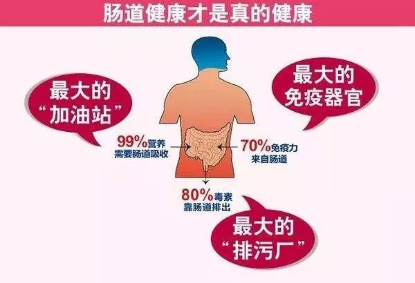 中医养生法，提升肠道健康之道