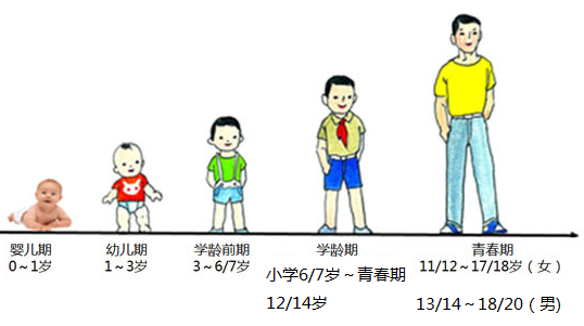 家庭教育对孩子学业成功影响深远