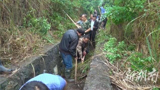 雨水利用家庭灌溉指南