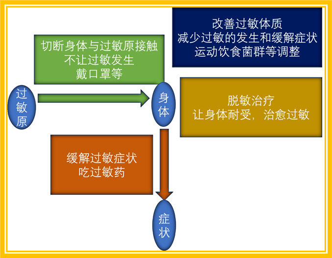 旅行中如何避免过敏反应攻略