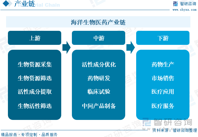 海洋生物资源在新医药研发领域的巨大潜力与价值探索