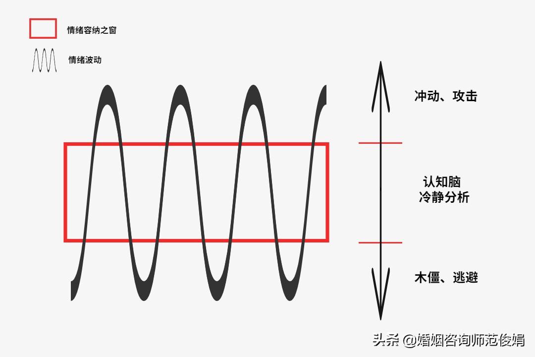 2024年12月12日 第28页