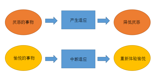 提高家庭幸福感的秘诀，简单实用的方法分享